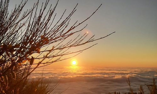 sunrise-tour-01