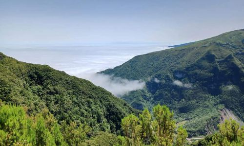 246452298_613616773334694_7495887898116431895_n---coтХа╨Сpia