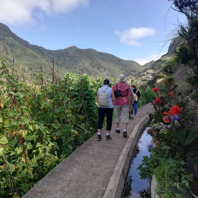 Mimosa Valley Levada Walk